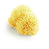 Natural Sea Sponge Grass Sponge