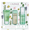 Caudalie Vinopure Blemish Control Set