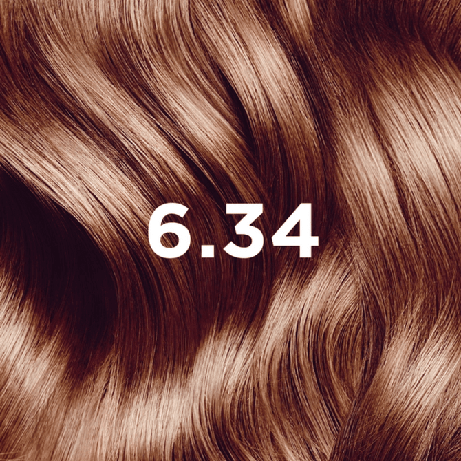 Phyto PhytoColor Kit 6.34 - Dark Blonde Copper