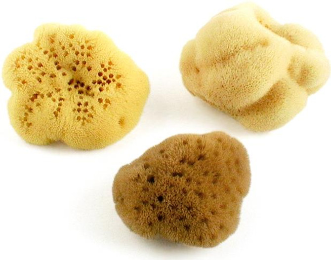 Natural Sea Sponge Fina Silk Sponge