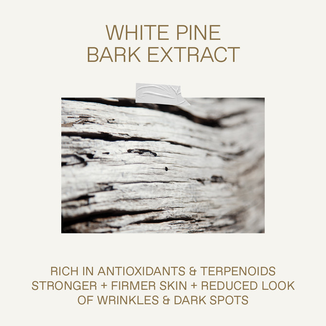 Korres White Pine Meno-Reverse Serum-in-Moisturiser