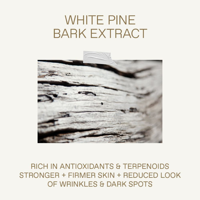 Korres White Pine Eye & Lip Cream