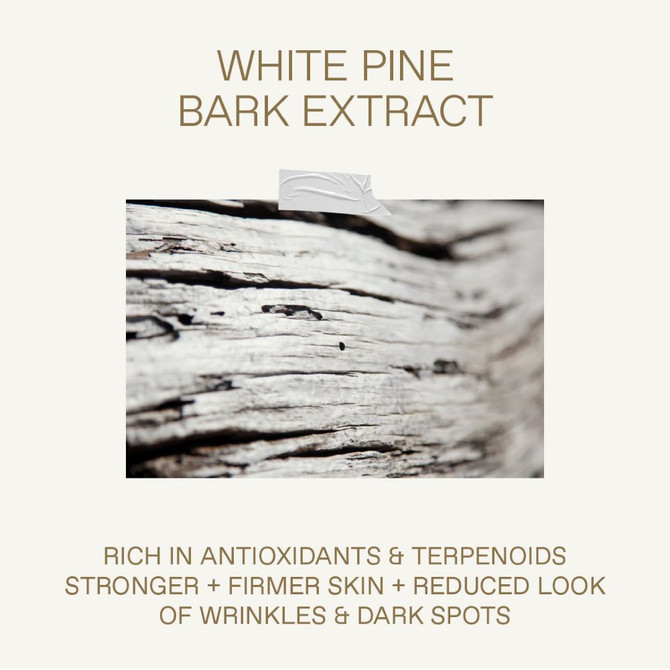 Korres WHITE PINE Deep Wrinkle, Plumping + Age Spot Concentrate