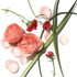 Aromatherapy Associates Rose Bath & Shower Oil 9ml