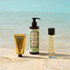 Panier des Sens Jasmine Body Lotion