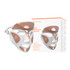 Dr Dennis Gross Spectralite FaceWare Pro