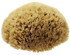 Natural Bath Sponge Honeycomb Sea Sponge Size 5.5 - 6"