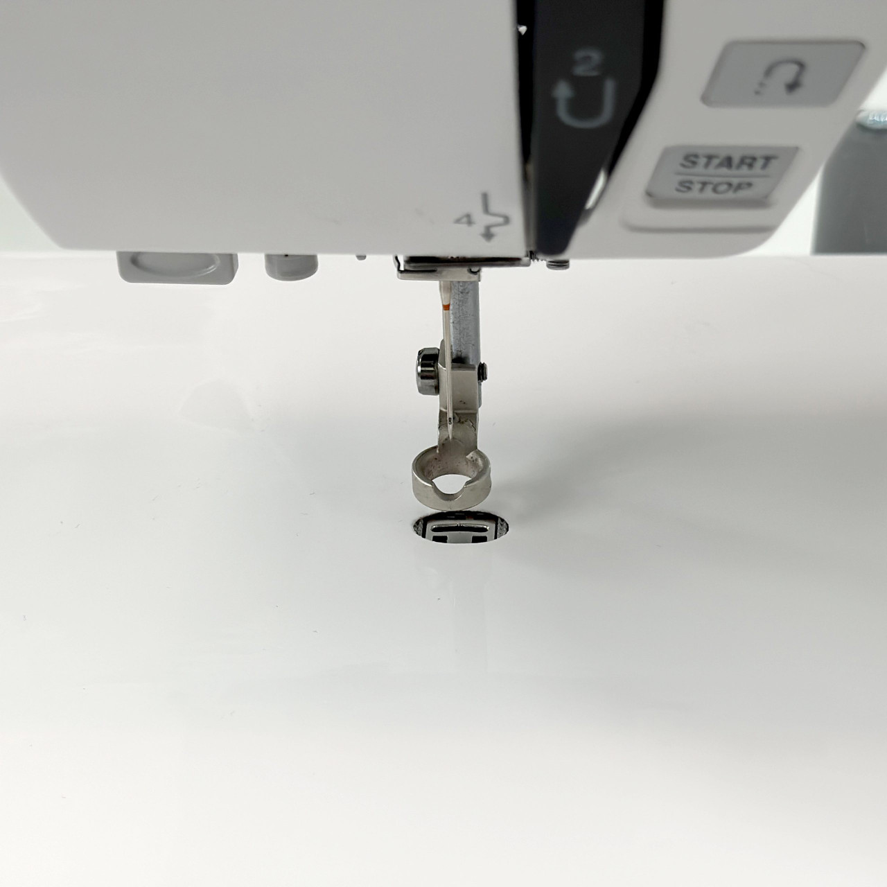 Supreme Slider 11 1/2