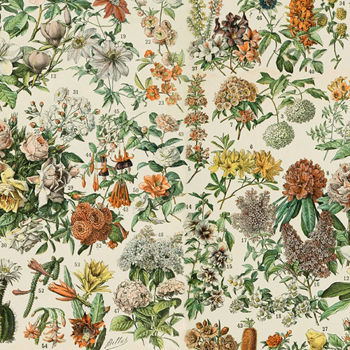 Close up of fabric with various types of orange flowers on a neutral cream colored background