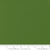 Bella Solids in Evergreen Yardage