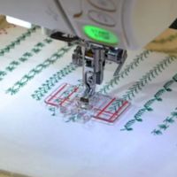 closeup of border guide foot in action