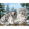 Snow Leopard Tapestry Canvas By Royal Paris