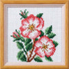 Dog Rose Garden Posies Cross Stitch Kit by Orchidea