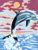 Dolphin Canvas only By Grafitec