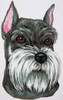 Schnauzer Canvas only By Grafitec