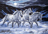 Midnight Stallions Canvas only By Grafitec
