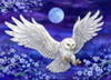 Moonlight Owl Canvas only By Grafitec