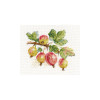 Gooseberry Cross Stitch Kit by Alisa