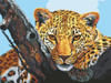 Leopard Look Tapestry Canvas By Grafitec