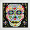 Skull Tapestry Kit By Design Works
