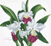 Bouquet of Orchids No Count Cross Stitch Kit By Riolis