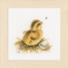 Little Chick 2 Cross Stitch Kit By Lanarte