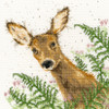 Doe A Deer Cross Stitch Kit By Bothy Threads