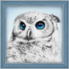 Owl Sight Diamond Painting Kit