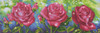 Roses Du Jardin Craft Kit by Diamand Dotz