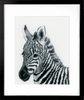 Counted Cross Stitch Kit: Zebra By Vervaco