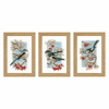 Counted Cross Stitch Kit: Long-Tailed Tits & Red Berries: Set of 3 by Vervaco