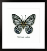 Counted Cross Stitch Kit: Blue Butterfly By Vervaco