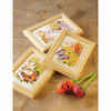Counted Cross Stitch: Butterflies and Flowers (Set of 3) By Vervaco
