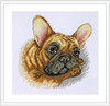 French Bulldog Counted Cross Stitch Kit by Merejka