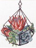 Succulent Garden 1 Printed Cross Stitch Kit By Needleart World