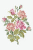 Light Roses Cross Stitch Kit by DMC