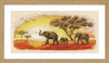 Elephants Cross Stitch Kit by Vervaco