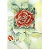 Rose  Counted Cross Stitch Greetings Card  Kit by Orchidea