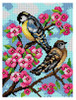 Printed Embroidery Kit: Blue Tit by Orchidea