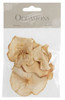 Dried Apple Slices: 15g by Occasions 