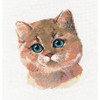 British Shorthair Cross Stitch Kit By Oven