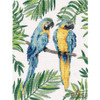Blue and Yellow Macaws Cross Stitch Kit By Oven
