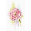 Tender Ranunculus Cross Stitch Kit By MP Studia