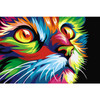 Rainbow Cat Paint By Numbers Kit By Wizardi