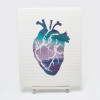 Anatomical Heart Cross Stitch Kit By Meloca Design