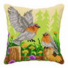 Bird Cushion  Cross stitch Kit by Orchidea