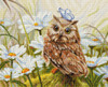Lucky Owl Counted Cross Stitch Kit By Luca S