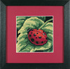 Mini: Ladybug Needlepoint Kit By Dimensions