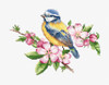 The Bluetit Counted Cross Stitch Kit By Luca S