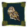 Tawny Owl Cushion Tapestry Kit By Brigantia